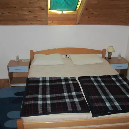 Vila Milica בית הארחה *