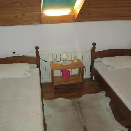 Vila Milica Guest house